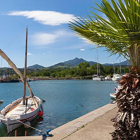 T2 Climatise Renove, Proche Et Commerces A Argeles-sur-mer, Avec Balcon Et Parking Prive - Fr-1-732-68 Appartement