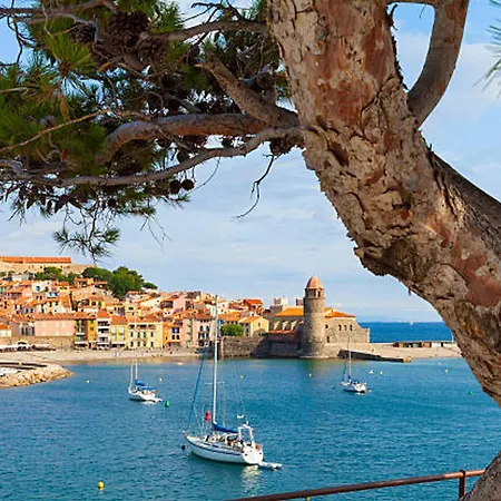 T2 Climatise Renove, Proche Et Commerces A Argeles-sur-mer, Avec Balcon Et Parking Prive - Fr-1-732-68 * Argelès-sur-Mer