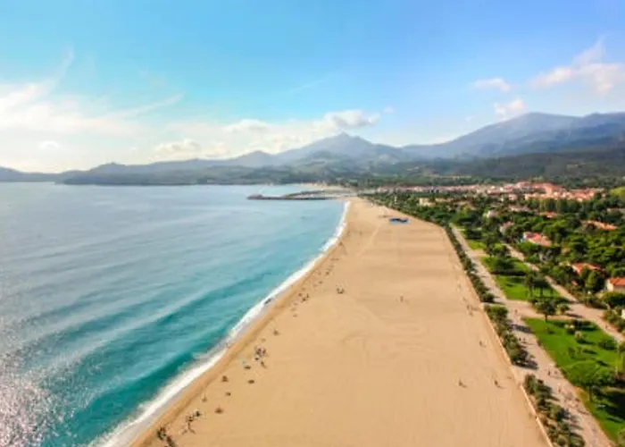 T2 Climatisé Rénové, Proche Et Commerces à Argelès-sur-mer, Avec Balcon Et Parking Privé - Fr-1-732-68 Argelès-sur-Mer