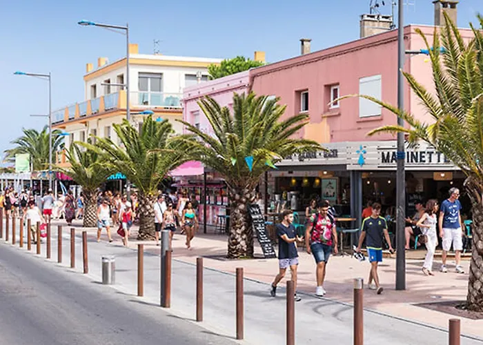 Appartement T2 Climatisé Rénové, Proche Et Commerces à Argelès-sur-mer, Avec Balcon Et Parking Privé - Fr-1-732-68 *